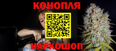 spice Кулебаки