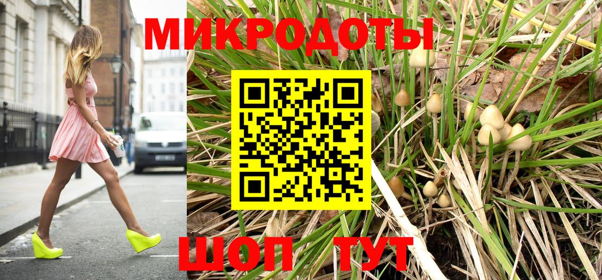 купить  цена  Вход с VPN  Гусев  Псилоцибиновые грибы мухоморы 
