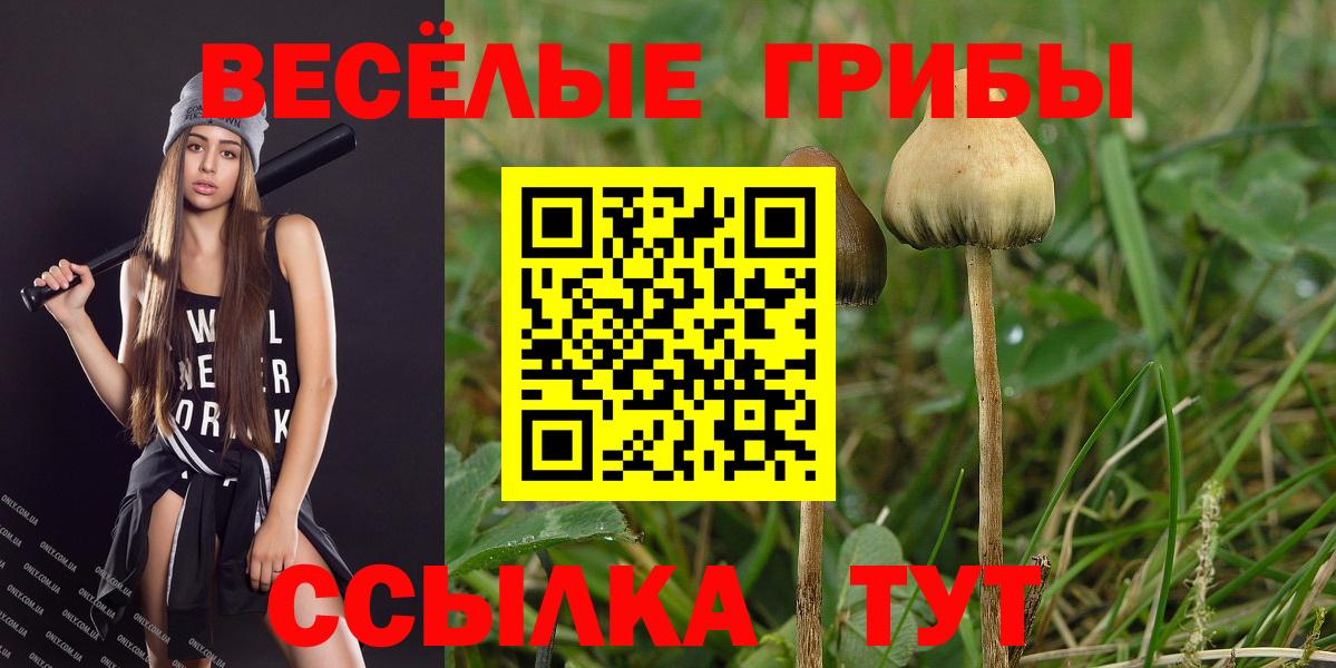 Галлюциногенные грибы мухоморы Гусев