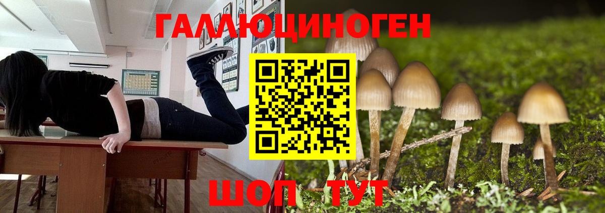 Купить  КОКАИН  Гусев  Канабис  КОКАИН  Вход с VPN  Alpha PVP СК кристаллы  МЕФ кристаллы  Гашиш  Канабис 